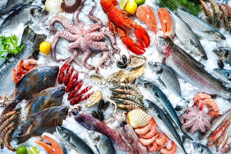 Mayores controles sobre el transporte refrigerado... el papel de los indicadores de temperatura