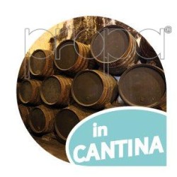 Deumidificatore per la cantina